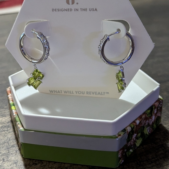 VIP Situation Aug 2024 birthday collection Bomb Party hoop earrings RBP7896 NWT - Picture 3 of 4